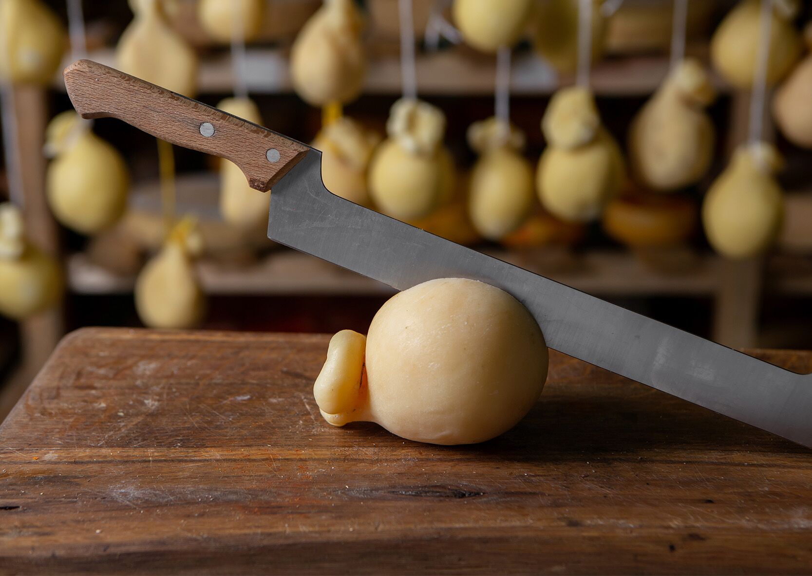 FROMAGE CACIOCAVALLO – Image 5